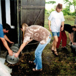 2002