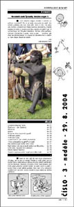 2004